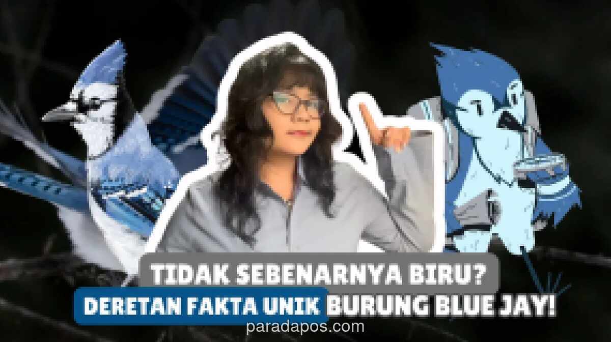 Warna Biru Blue Jay Ternyata Ilusi Optik, Bukan Pigmen Alami