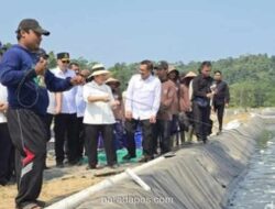 Titiek Soeharto Tinjau Panen Udang Vaname di Nusakambangan, Napi Dapat Insentif Rp25 Ribu per Hari