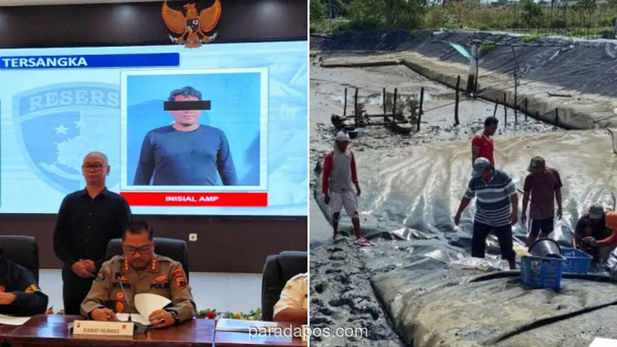 Polisi Bongkar Alih Fungsi 7 Hektar Lahan Sawah Produktif Jadi Tambak Udang Ilegal di Batang, Negara Rugi Rp32 Miliar