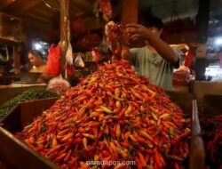 Harga Cabai Rawit di Jombang Tembus Rp100.000 per Kg Sehari Setelah Idul Adha