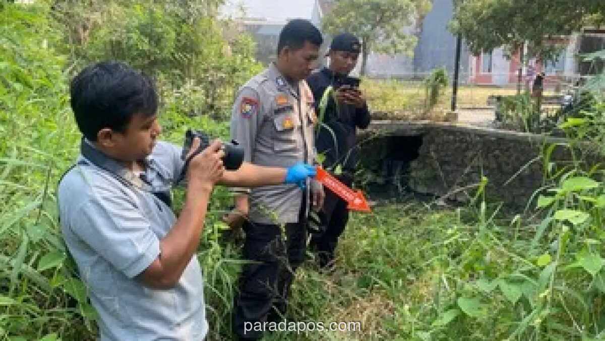Bayi Perempuan Ditemukan Terbungkus Plastik dengan Mulut Dilakban di Pinggir Sungai Cilegon