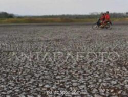 BPBD Madiun Petakan Wilayah Rawan Kekeringan dan Karhutla Hadapi Puncak Kemarau 2026