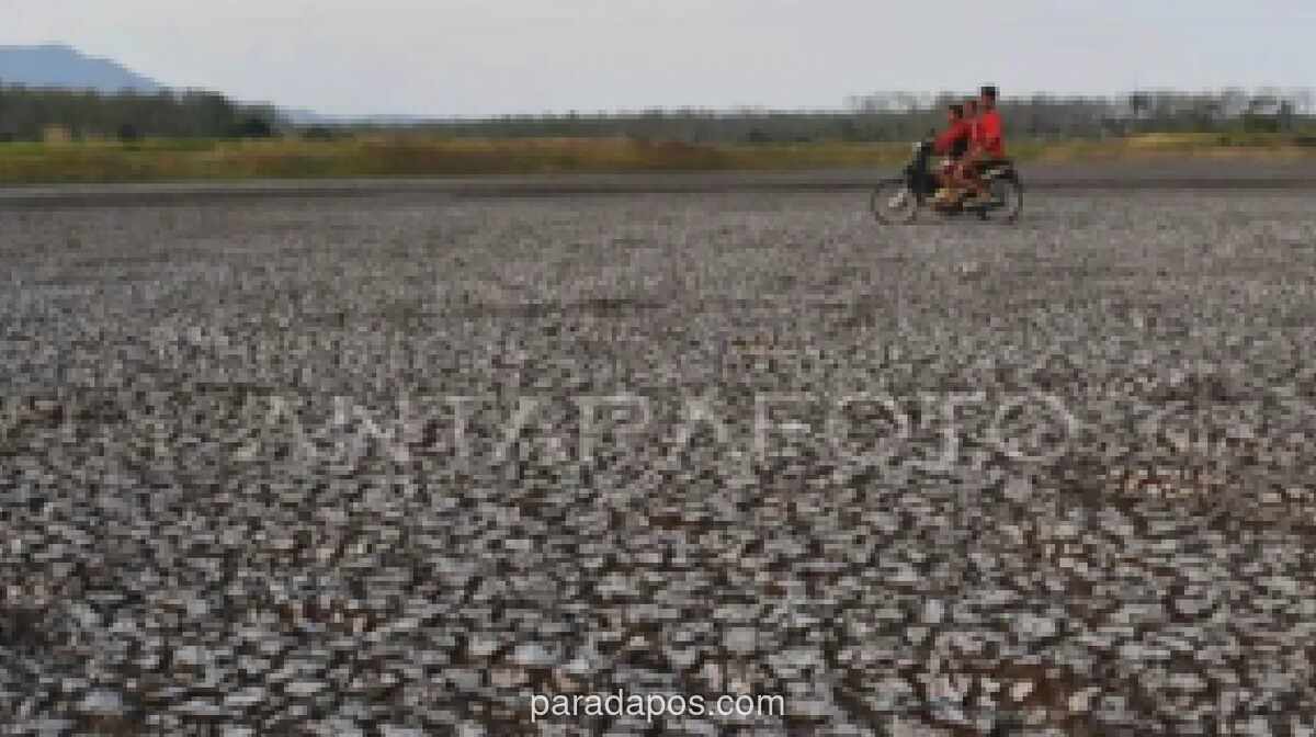 BPBD Madiun Petakan Wilayah Rawan Kekeringan dan Karhutla Hadapi Puncak Kemarau 2026
