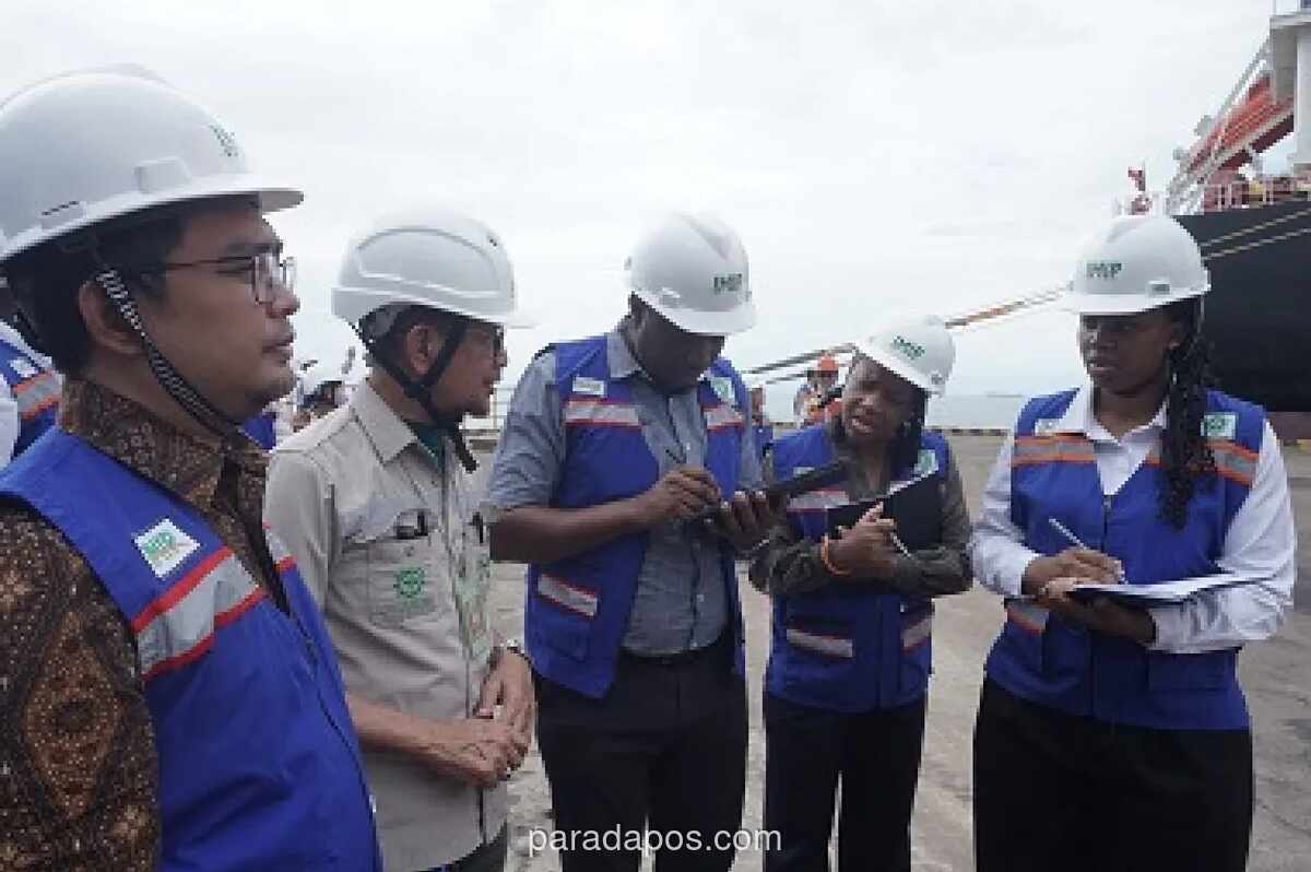 Zimbabwe Pelajari Model Hilirisasi Nikel di IMIP Morowali untuk Perkuat Industri Baja Nasional