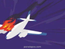 Pesawat Cessna 402 Jatuh di Bahama Tewaskan 10 Orang, Terjadi Saat Perayaan Hari Kemerdekaan
