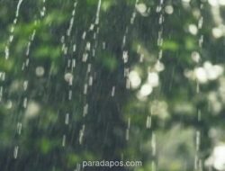 BMKG: Hujan Ringan Guyur Lima Wilayah Jateng, Banjir Rob Masih Rendam Pantura