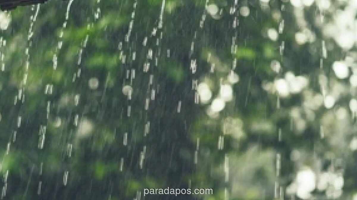 BMKG: Hujan Ringan Guyur Lima Wilayah Jateng, Banjir Rob Masih Rendam Pantura