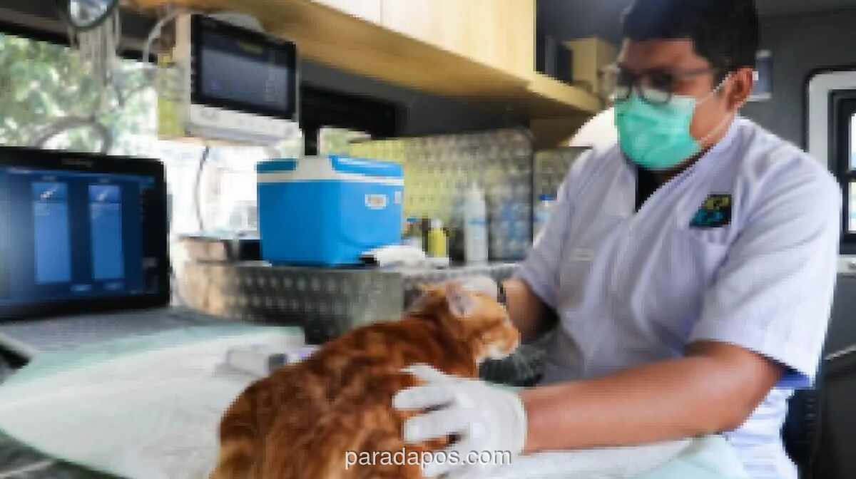 Pemprov DKI Operasikan Mobil Klinik Hewan Keliling di Lima Wilayah, Tarif Mulai Rp35 Ribu