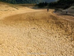 BRIN Peringatkan Super El Nino Agustus 2026 Berpotensi Samai Intensitas 2015