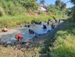 Ratusan Warga Brebes Manfaatkan Sungai Surut Akibat Kemarau untuk Berburu Ikan