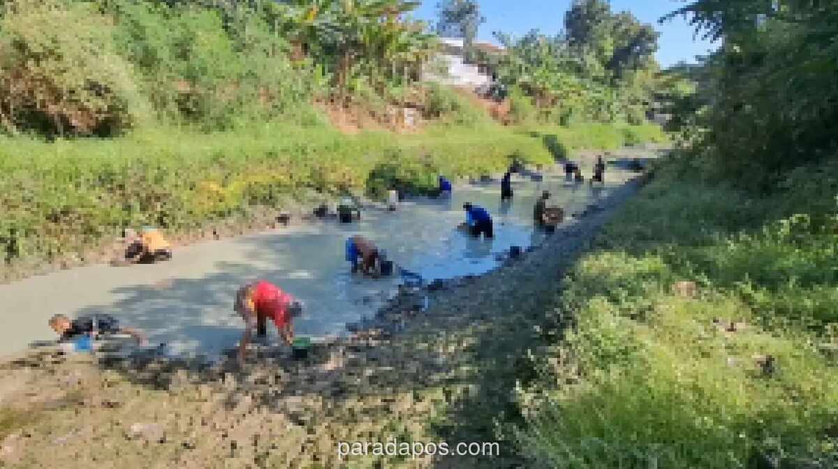 Ratusan Warga Brebes Manfaatkan Sungai Surut Akibat Kemarau untuk Berburu Ikan