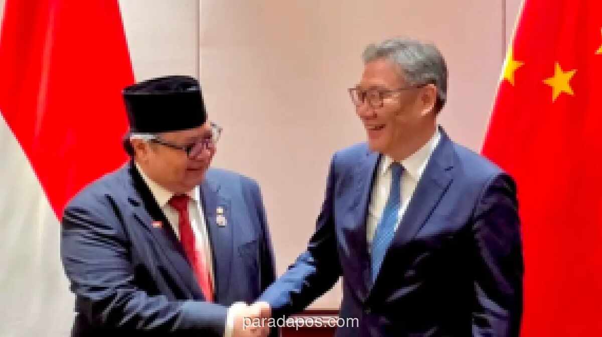 Airlangga Ajak Investor Tiongkok Garap Proyek PLTS 100 GW di Indonesia