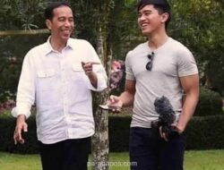 Kaesang Targetkan Dapil Jawa Tengah V, Pengamat: Tak Ada Jaminan Meski Putra Jokowi