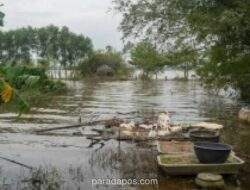 Banjir Bandang di Vietnam Utara Tewaskan Empat Orang, Empat Lainnya Hilang