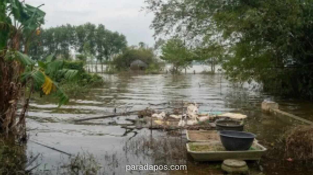 Banjir Bandang di Vietnam Utara Tewaskan Empat Orang, Empat Lainnya Hilang