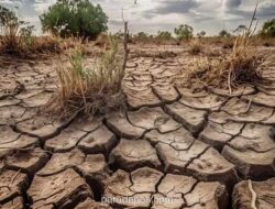 BMKG: El Nino Diprediksi Berlangsung hingga Awal 2027, Puncak Kekeringan Terjadi September-Desember 2026