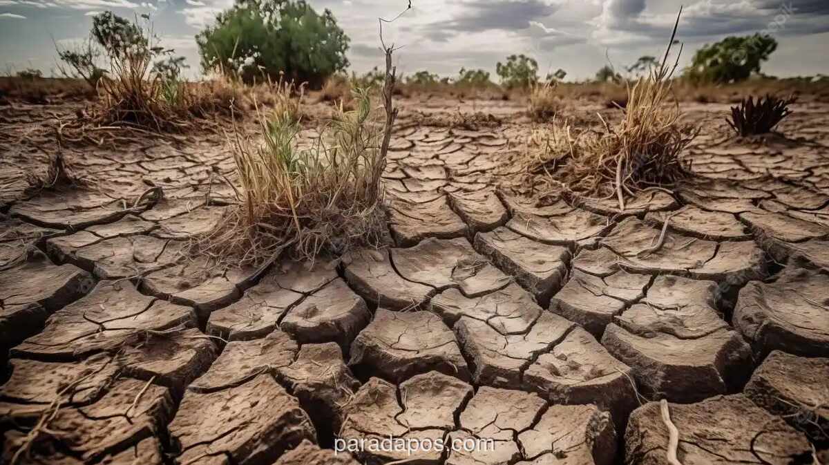 BMKG: El Nino Diprediksi Berlangsung hingga Awal 2027, Puncak Kekeringan Terjadi September-Desember 2026