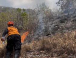 BNPB Catat Kebakaran Hutan dan Lahan Dominasi Bencana di Indonesia, 48 Hektare di Buleleng Jadi Terluas