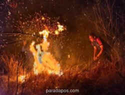 Kebakaran Hutan di Manggarai Timur Padam, 25 Hektare Lahan Hangus