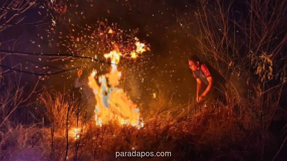 Kebakaran Hutan di Manggarai Timur Padam, 25 Hektare Lahan Hangus