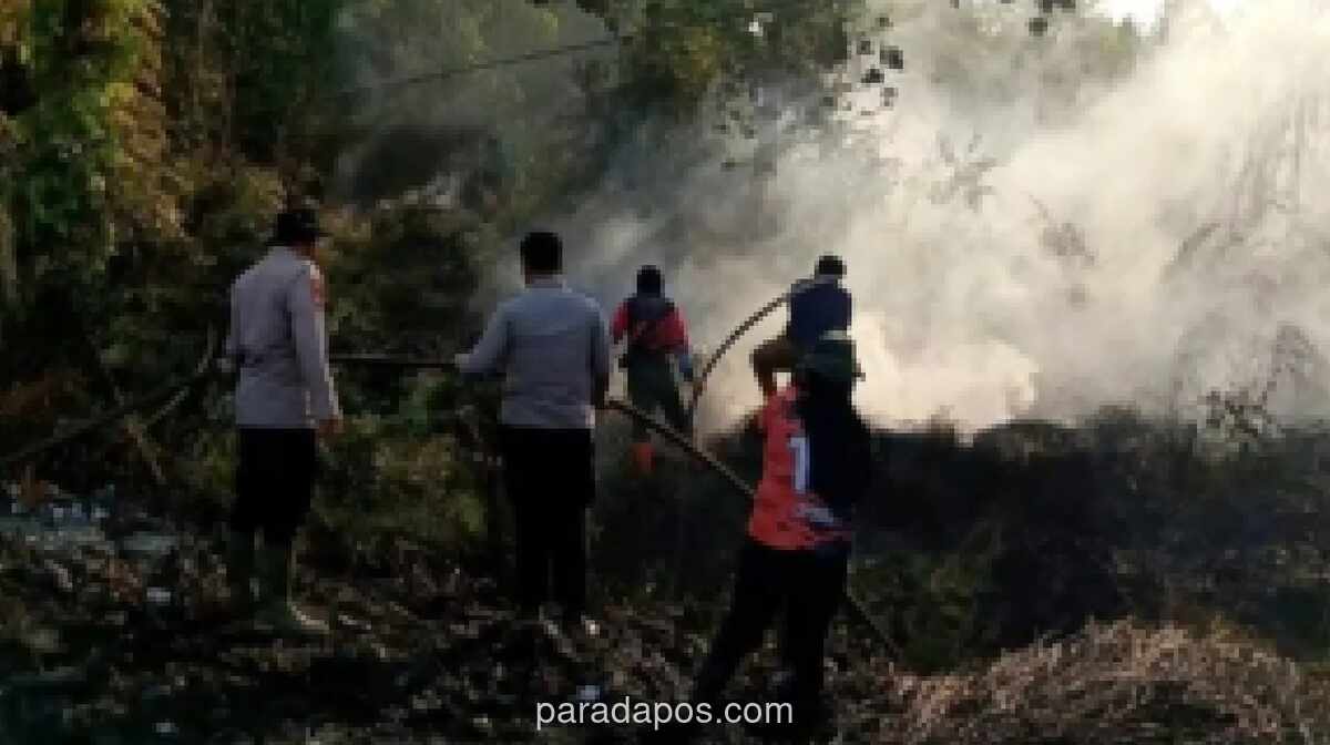 BPBD Kotim Kaji Kenaikan Status Karhutla Jadi Tanggap Darurat, Tunggu Data Kualitas Udara