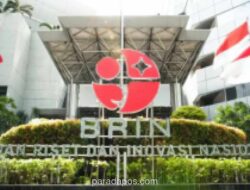 Riset BRIN Temukan 14,6 Persen Anak Indonesia Miliki Kadar Timbal Darah Berbahaya, Sumber Paparan dari Peralatan Dapur dan Mainan