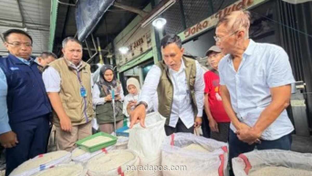 BULOG Edukasi Publik Bedakan Beras Premium dan Medium Berdasarkan Standar Mutu, Bukan Sekadar Penampilan Fisik