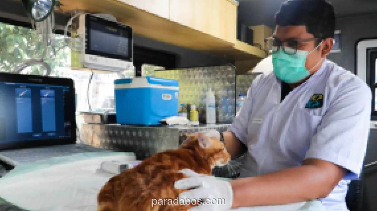 Mobil Klinik Hewan Keliling Jakarta Beroperasi di Lima Titik, Tawarkan Vaksinasi hingga Sterilisasi Mulai Rp35 Ribu