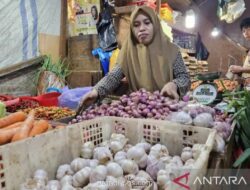 Papua Perkuat Produksi Pangan Lokal untuk Tekan Ketergantungan Pasokan Luar Daerah