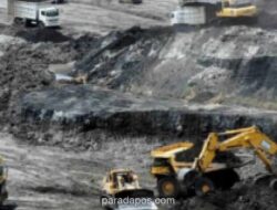 DPR Apresiasi Kontribusi Freeport untuk Pembangunan Sosial dan Ekonomi Masyarakat Papua