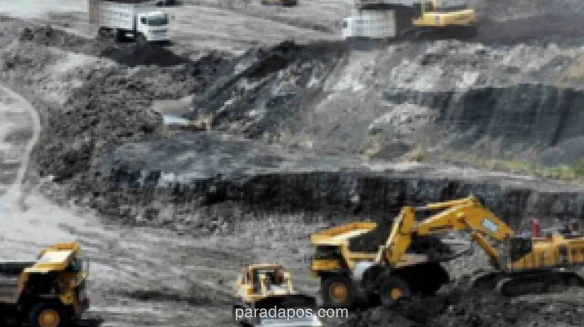DPR Apresiasi Kontribusi Freeport untuk Pembangunan Sosial dan Ekonomi Masyarakat Papua