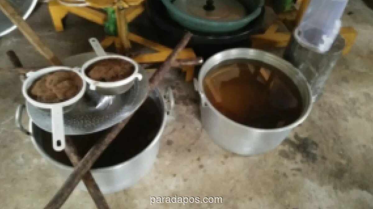 Pizza Hut Indonesia Olah 90 Ton Minyak Jelantah dari 300 Gerai Jadi Biofuel dalam Dua Tahun