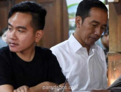 Analisis Pengamat: Safari Politik Jokowi Bersama PSI Siapkan Dua Skenario Masa Depan Gibran