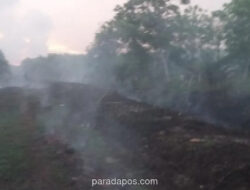 Karhutla di Aceh Barat Meluas ke 10 Hektare, Empat Kecamatan Terdampak