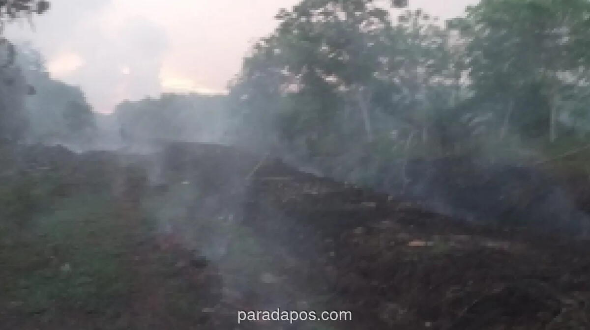 Karhutla di Aceh Barat Meluas ke 10 Hektare, Empat Kecamatan Terdampak