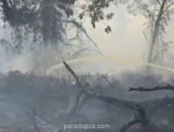 Kebakaran Lahan Gambut di Kubu Raya Mendekati Permukiman, Tim Gabungan Dikerahkan