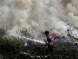 BPBD Palangka Raya Catat 26 Kebakaran Hutan dan Lahan Sejak Awal Juni, Didominasi Unsur Kesengajaan