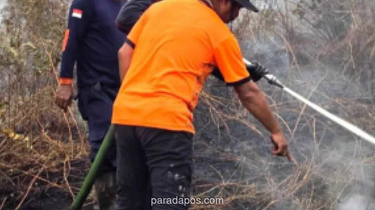 Kebakaran Hutan dan Lahan Landa Tiga Kecamatan di Aceh Barat, Sembilan Hektare Hangus