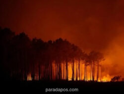 Kebakaran Hutan di Pesisir Selatan Italia Paksa Evakuasi Lebih dari 400 Wisatawan Lewat Jalur Laut