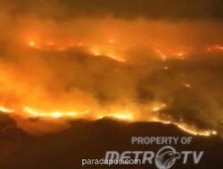 Kebakaran Hutan di Zaragoza Hanguskan 15 Ribu Hektare, Lima Kota Dievakuasi