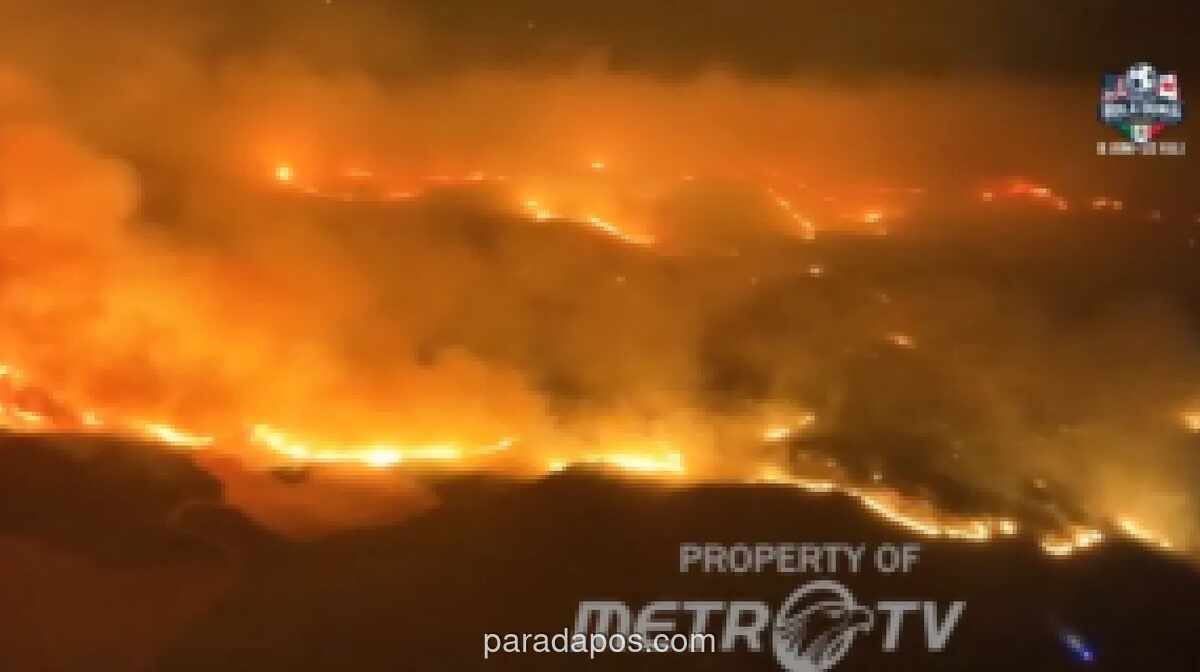 Kebakaran Hutan di Zaragoza Hanguskan 15 Ribu Hektare, Lima Kota Dievakuasi