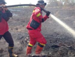 Kebakaran Hutan dan Lahan di Rokan Hilir Meluas, Petugas Berjibaku Padamkan Api di Lahan Gambut