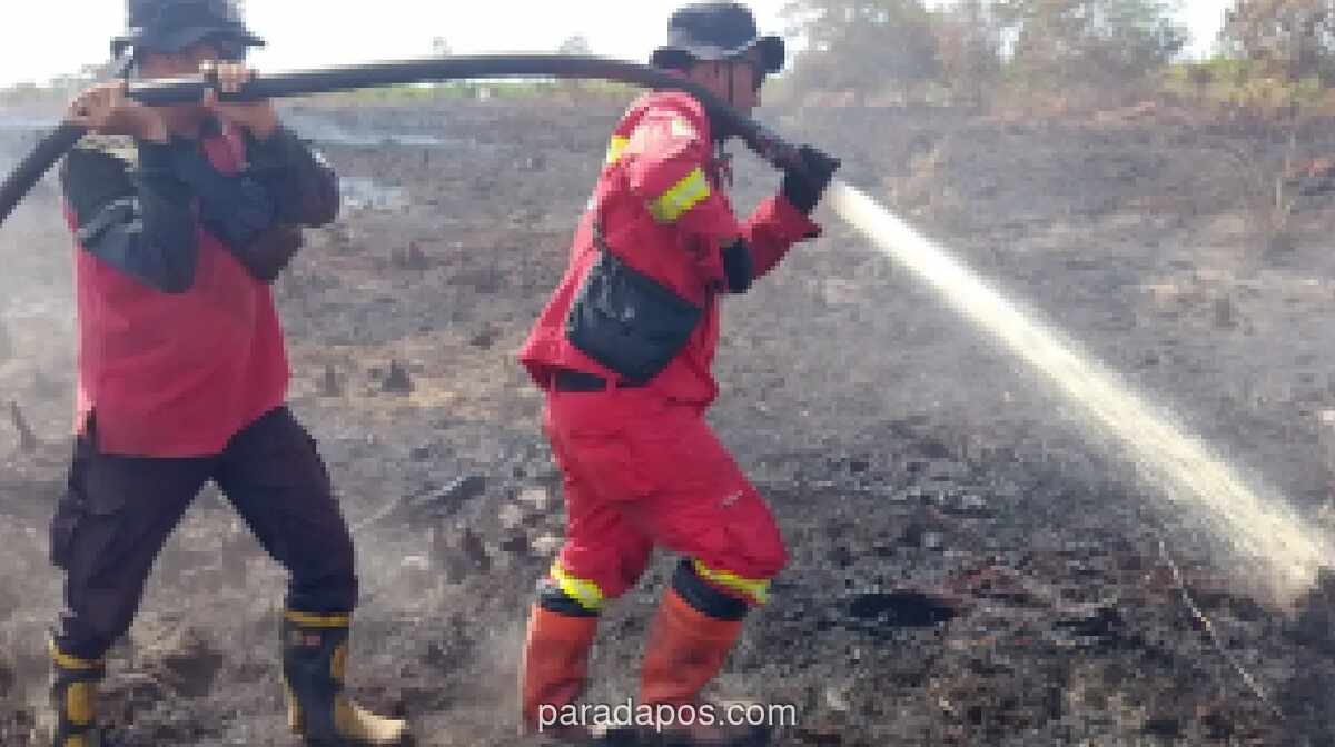 Kebakaran Hutan dan Lahan di Rokan Hilir Meluas, Petugas Berjibaku Padamkan Api di Lahan Gambut