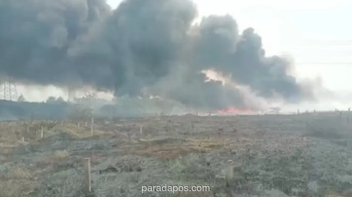 Sepuluh Kebakaran Lahan dan Sampah Landa Tangerang dalam Sehari, Seluruh Personel Damkar Dikerahkan
