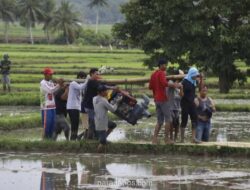 Kementan Siapkan 56.000 Pompa Air Antisipasi Kekeringan dan Jaga Produksi Pangan 2026