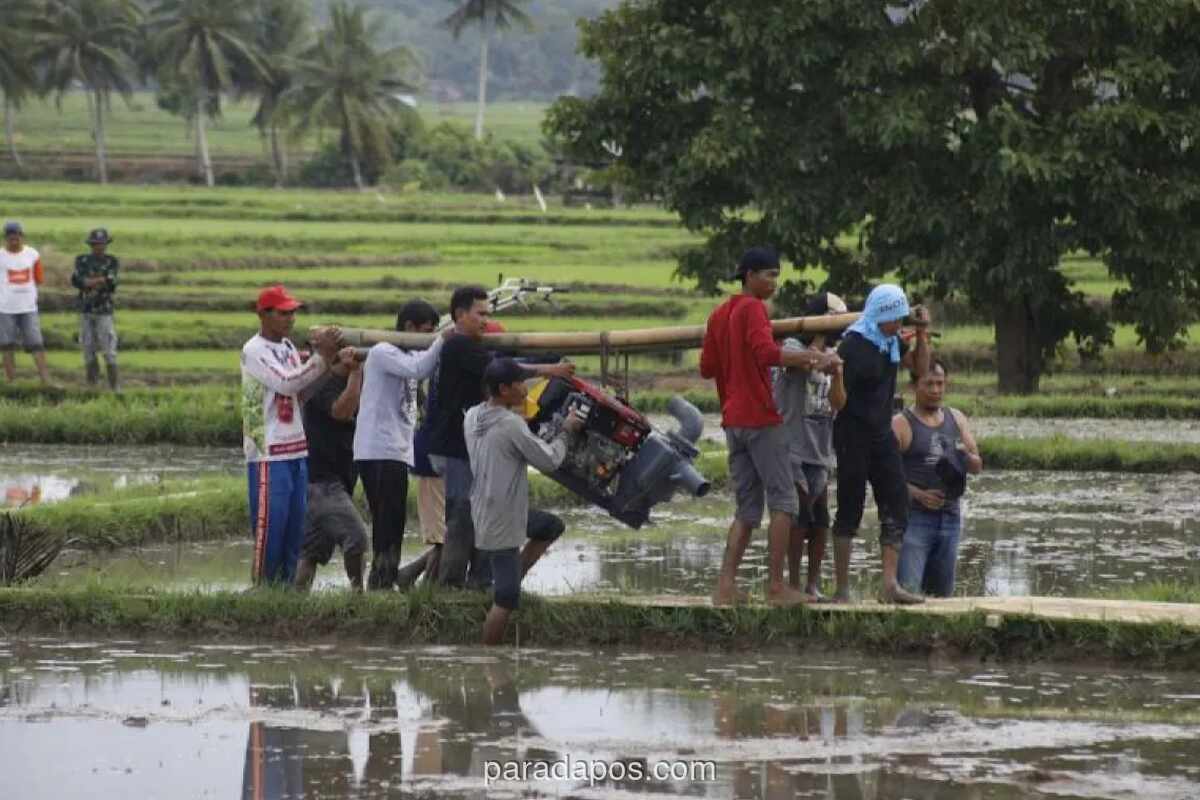 Kementan Siapkan 56.000 Pompa Air Antisipasi Kekeringan dan Jaga Produksi Pangan 2026