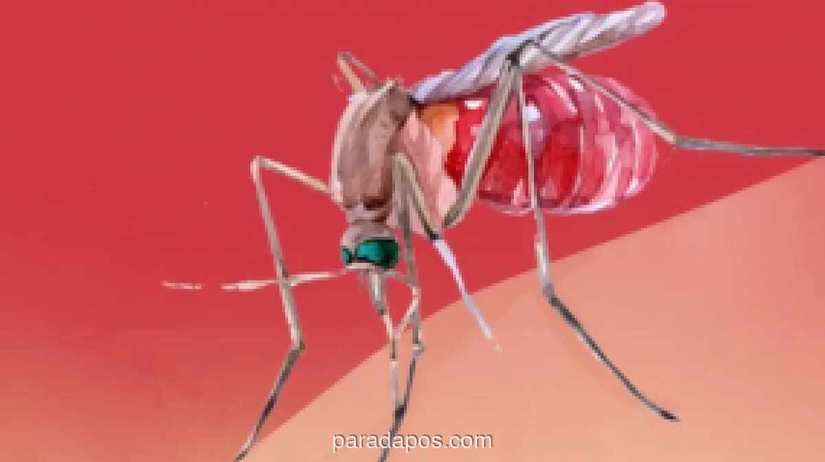Kemenkes dan Enesis Gaet Sekolah Cegah DBD, Anak Usia 5-14 Tahun Catat Angka Kematian Tertinggi