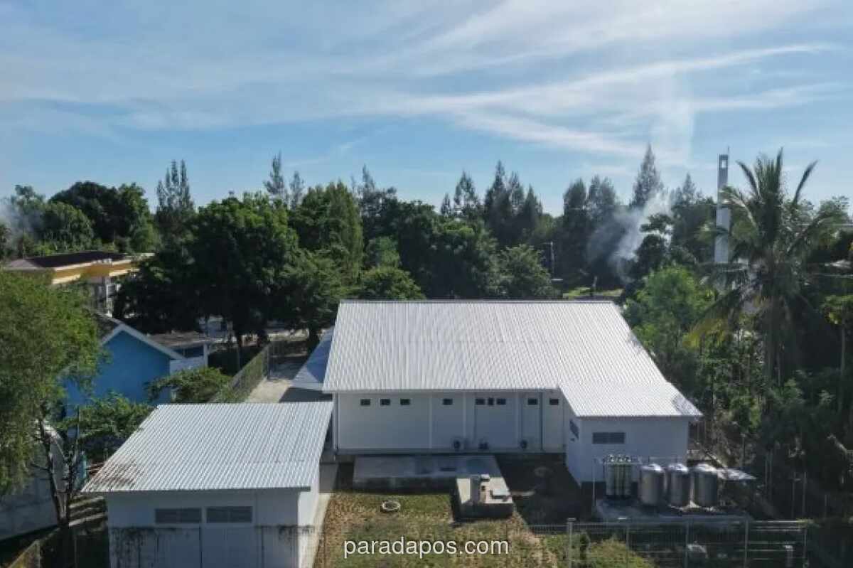 Dua Anak Usaha PP Rugi Rp364,5 Miliar di Tengah Persiapan Pemerintah Melebur BUMN Karya
