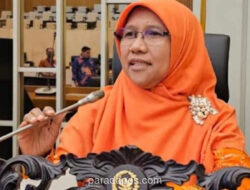 Anggota DPR Soroti Tambang Ilegal dan Dugaan Perampasan Tanah Adat di Kawasan 2,8 Juta Hektare