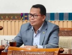 Bentrokan Antarwarga di Pulau Adonara Tewaskan Tiga Orang, 20 Rumah Ludes Terbakar